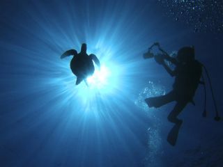 奄美ダイビングセンター　とめの写真1