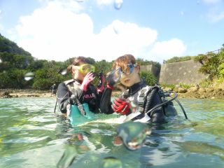 ダイブサービス　ブルーゲイトの写真1