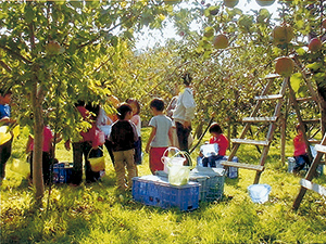 砥山ふれあい果樹園の写真1