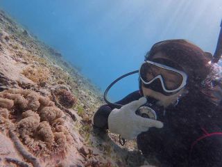 ダイビングショップ　ネイティブシー奄美の写真1