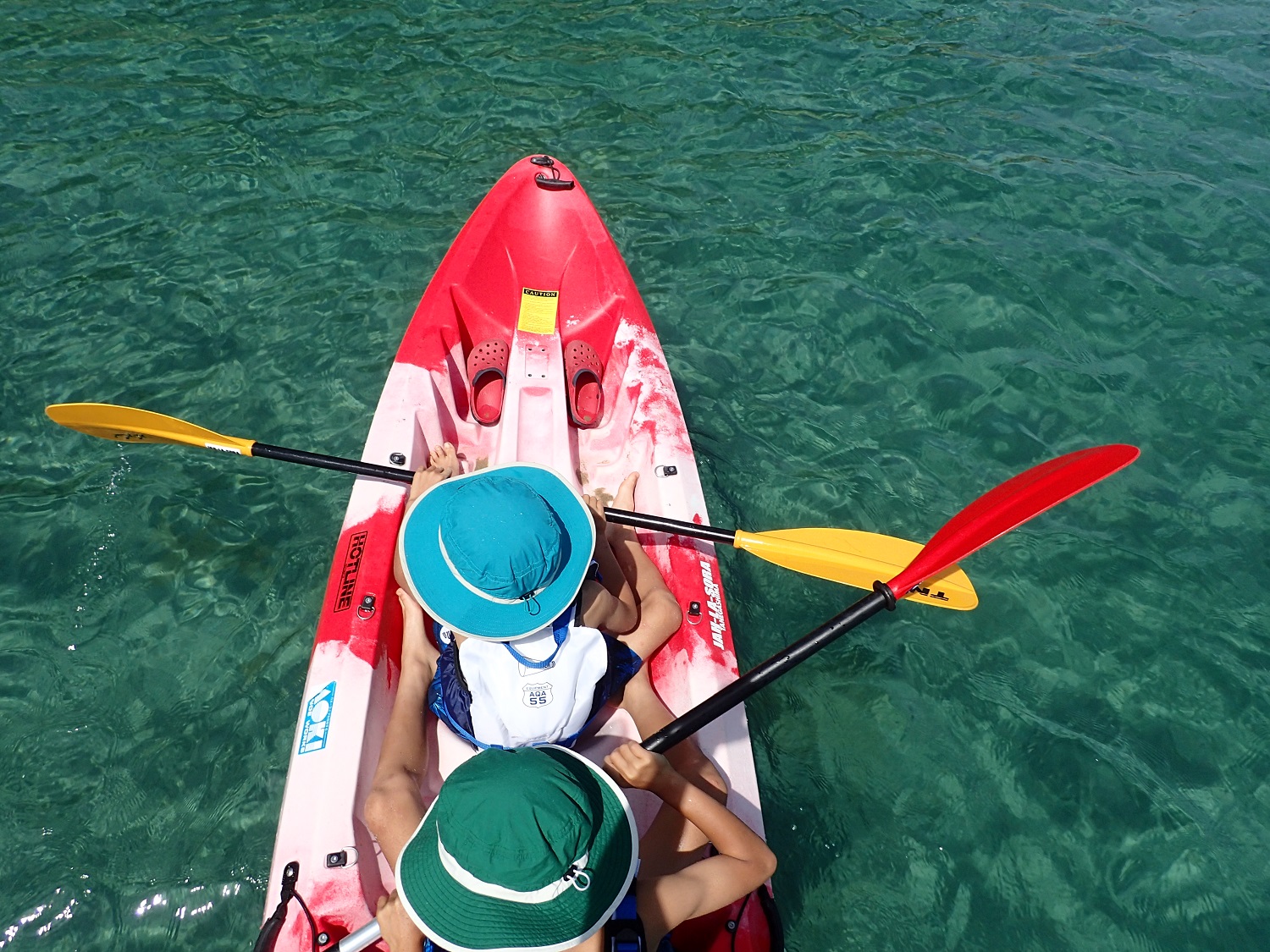 JAH-LA-SORA TANEGASHIMAの写真1