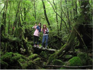 ?屋久島野外活動総合センターの写真1
