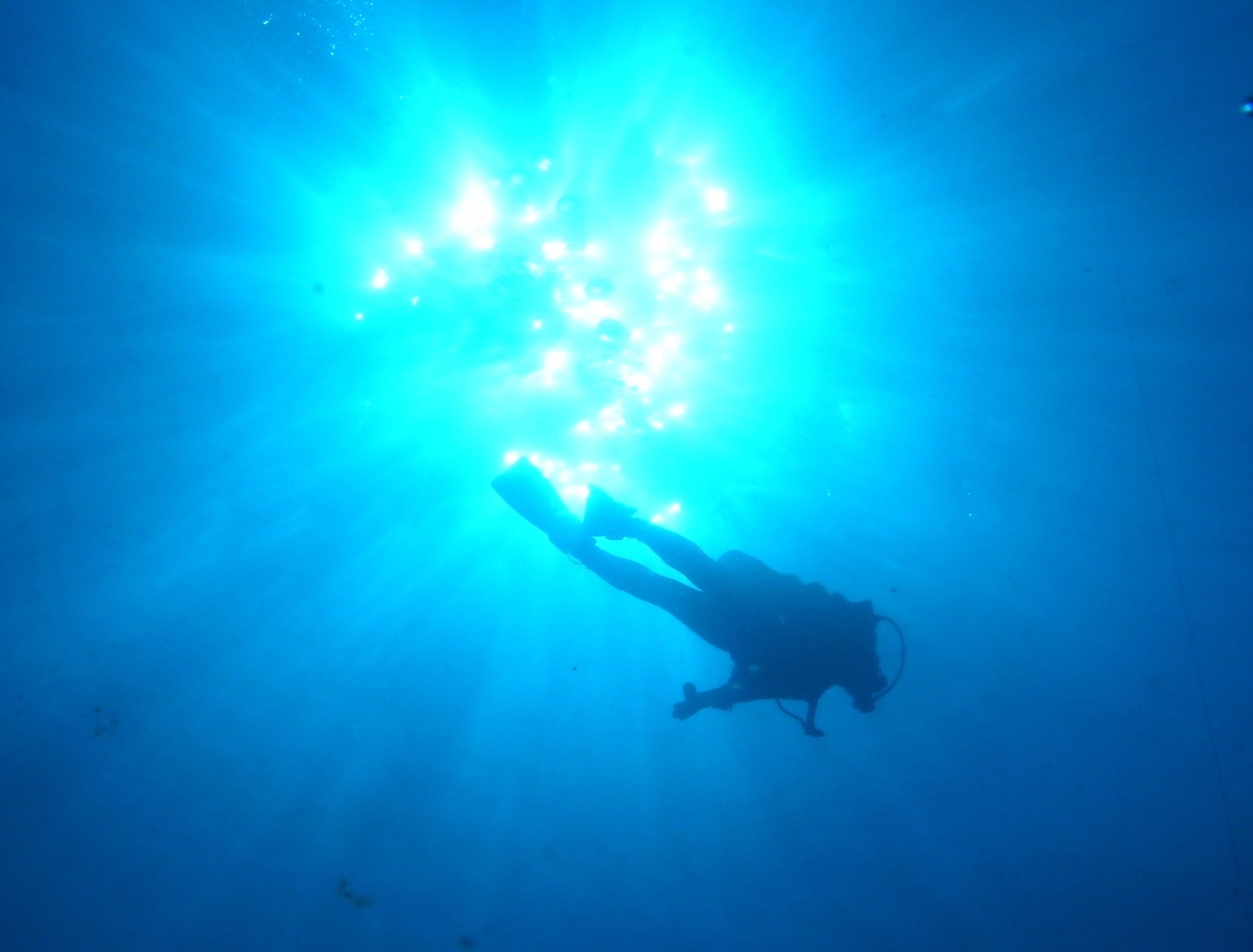 ダイビングリバティの写真1