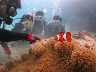 ダイビングリゾート　シードリーム沖泳良部の写真1