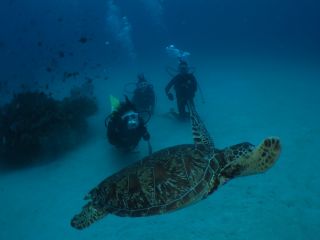 まりんすぽーつあまみの写真1