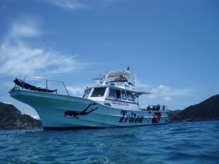 ダイビングハウスTritonの写真1