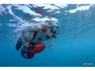 スノーケリング&ダイビング屋久島マリンサービスの写真1