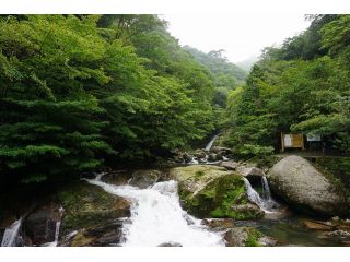 まつばんだ交通(屋久島ツアーオペレーションズの写真1