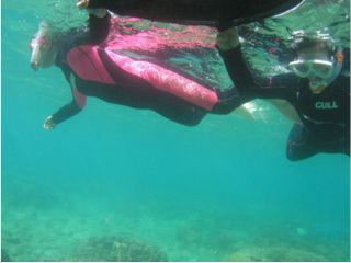 エンドレスブルーの写真1