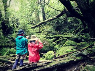 屋久島アウトドアガイド　島結の写真1