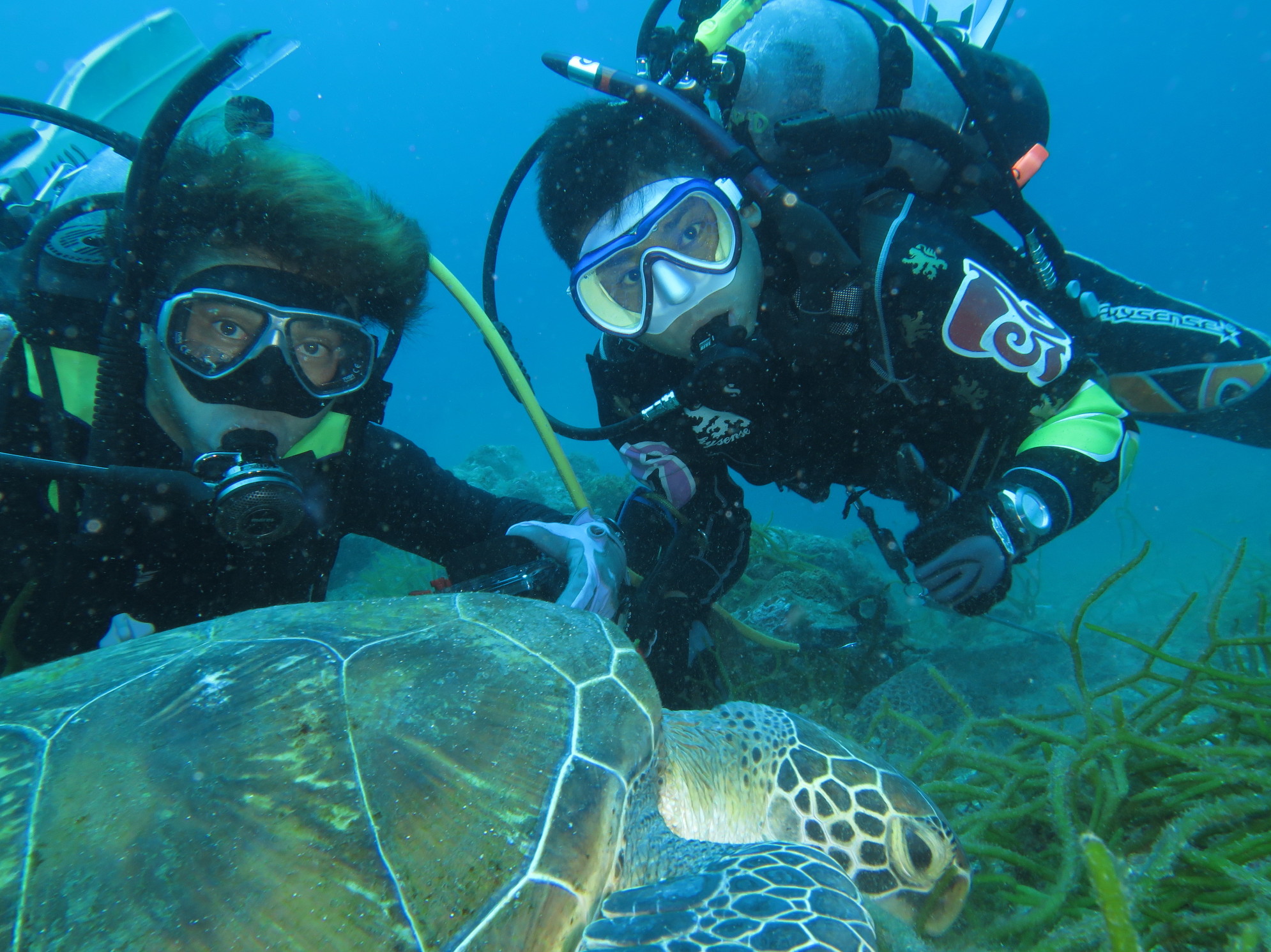 ブルーウォーターダイビングヤクシマの写真1