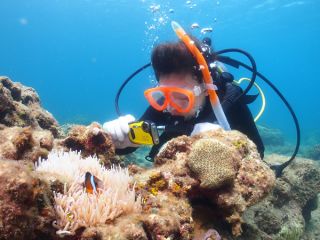 屋久島ダイビングガイド　マリンクラブカイオロヒアの写真1