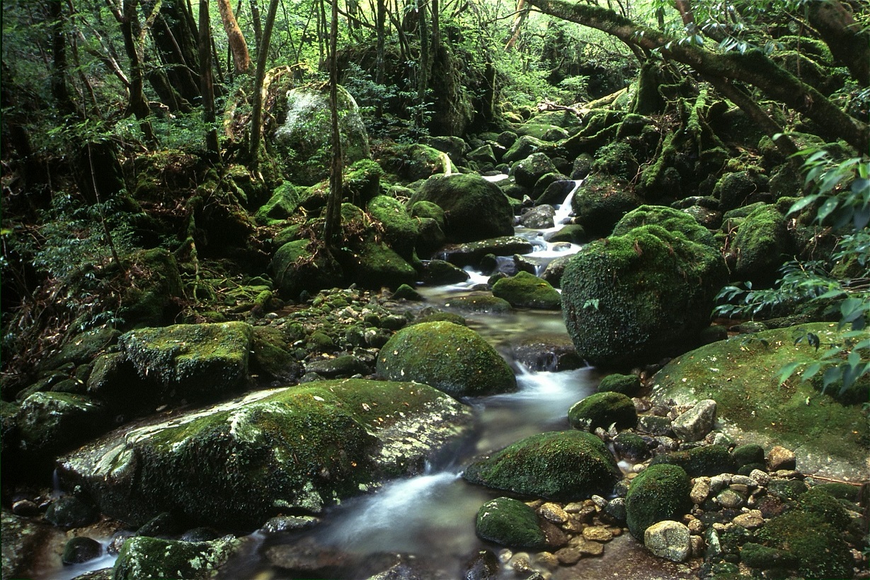 ネイチャーオフィスの写真1