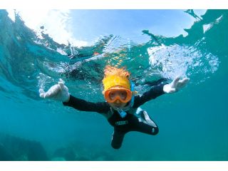 屋久島自然案内の写真1