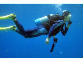 ダイビングサービス　ティーダの写真1