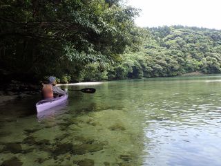 屋久島カヤックトリップ　ショアーズの写真1