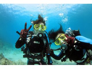 屋久島ダイビングセンターの写真1