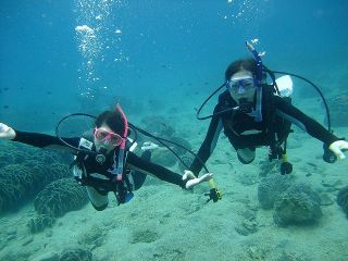 ダイビングステーション海来館の写真1