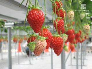 マリモファームの写真1