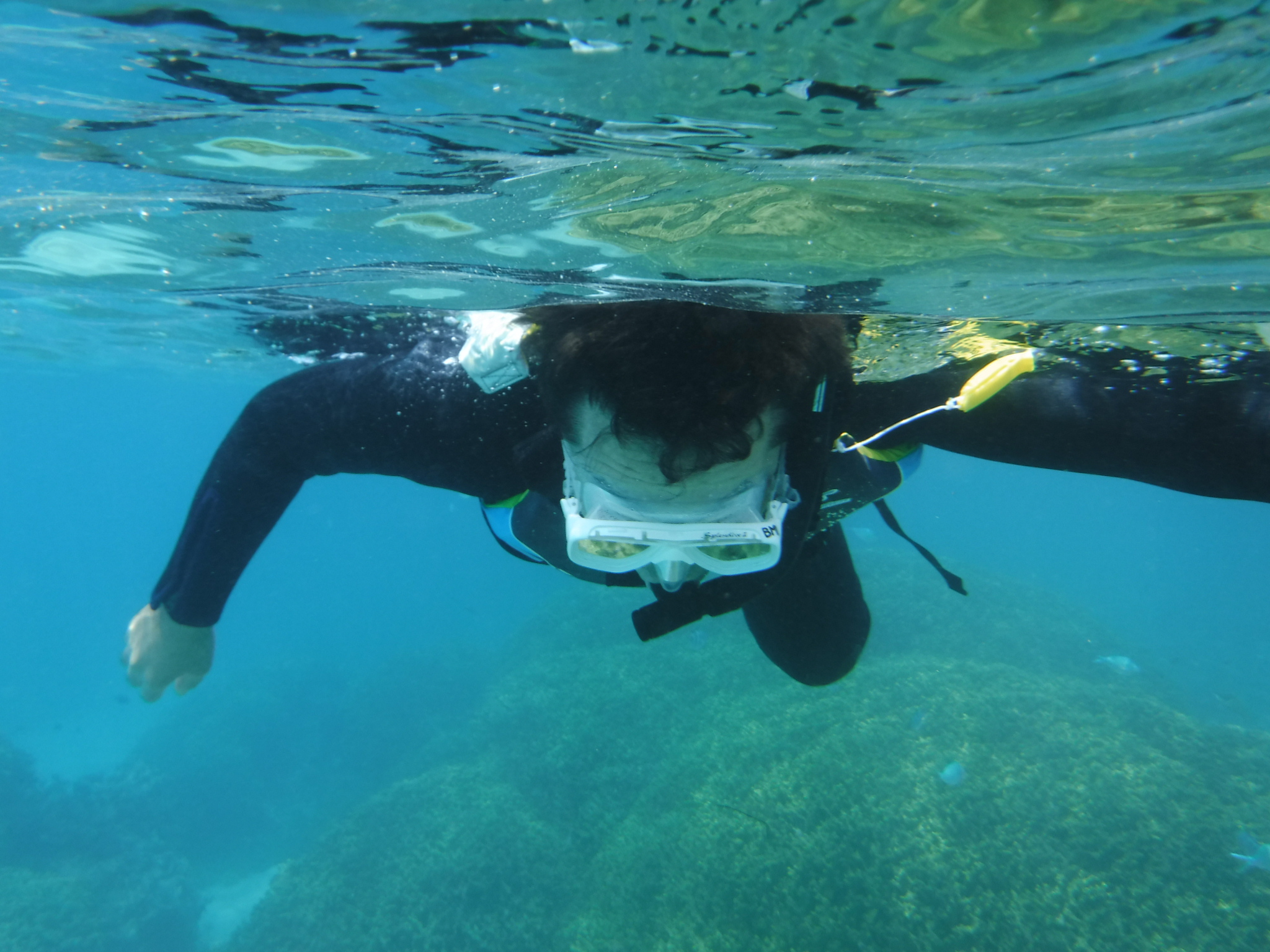 備瀬マリンレジャーの写真1