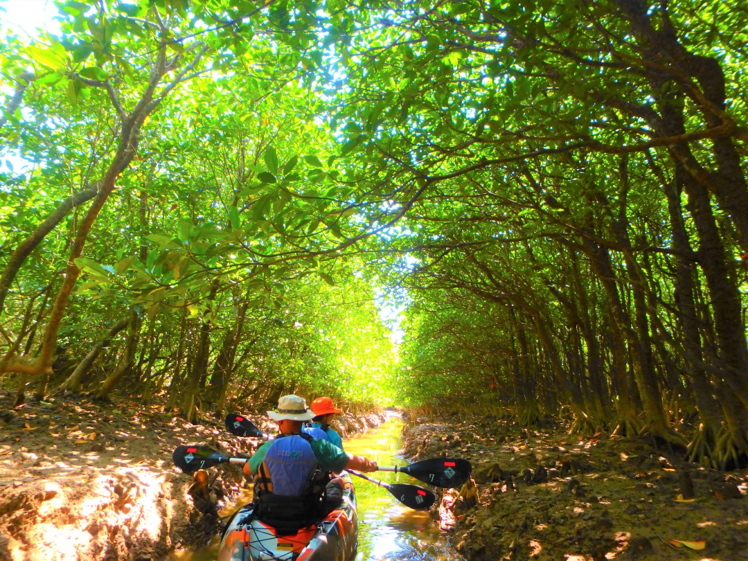 やんばるエコフィールド　島風の写真1