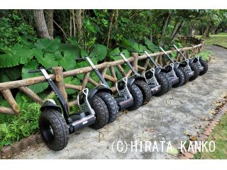 平田観光の写真1