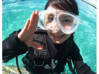 マリンサービスアポロン石垣島の写真1