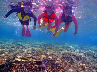 marine house やまんぐぅ〜の写真1