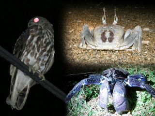 フィールドツアーいすらの写真1