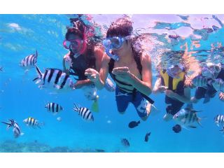 EGGダイビングショップの写真1