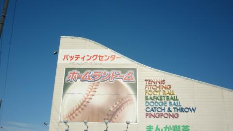 ホームランドーム徳島店の写真1