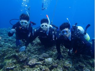 ダイビングショップKUKURUの写真1