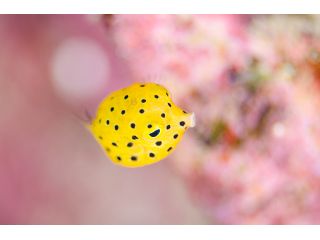 スローライフマリンサービスの写真1