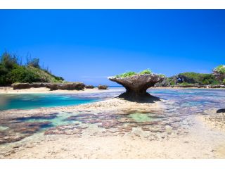 feelokinawaの写真1