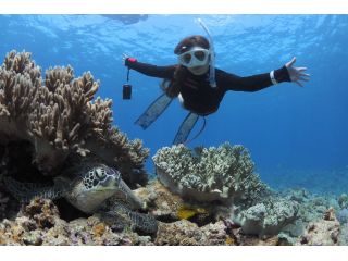 FAUSTO石垣島の写真1