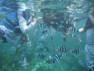 ブルースタイルの写真1