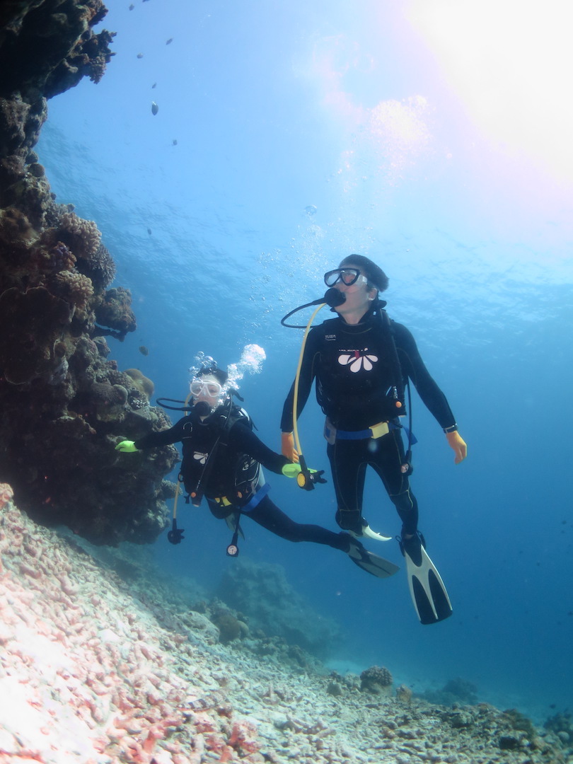 ダイビングサービスジャミングの写真1