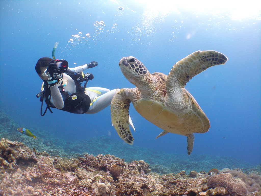 ココナッツ沖縄店　パラダイス倶楽部の写真1