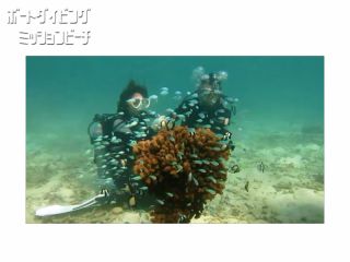 オーシャンクラフト・ディーシェルターの写真1