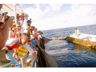 読谷村漁業協同組合の写真1