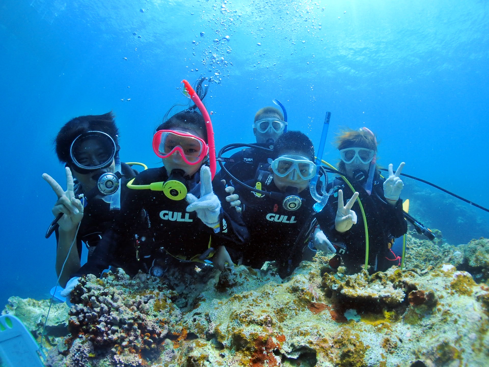 初心者専門ダイビングサービスサンフィッシュ石垣島の写真1