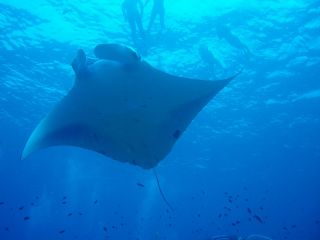 ペンション・マリンサービスKATSUの写真1