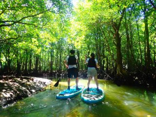 西表島ADVENTUREPiPiの写真1