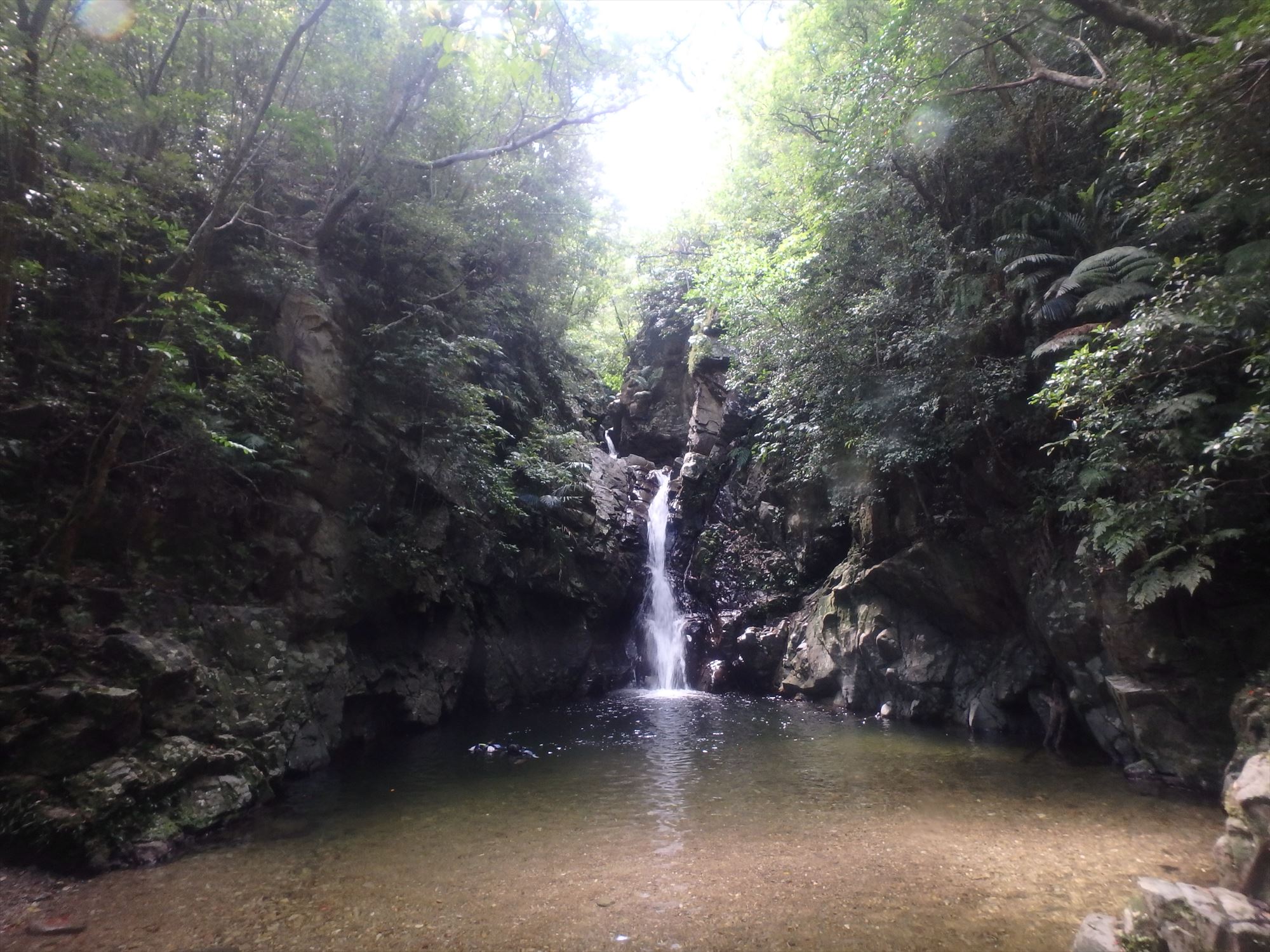 やんばる遊び処　蒼空堂の写真1