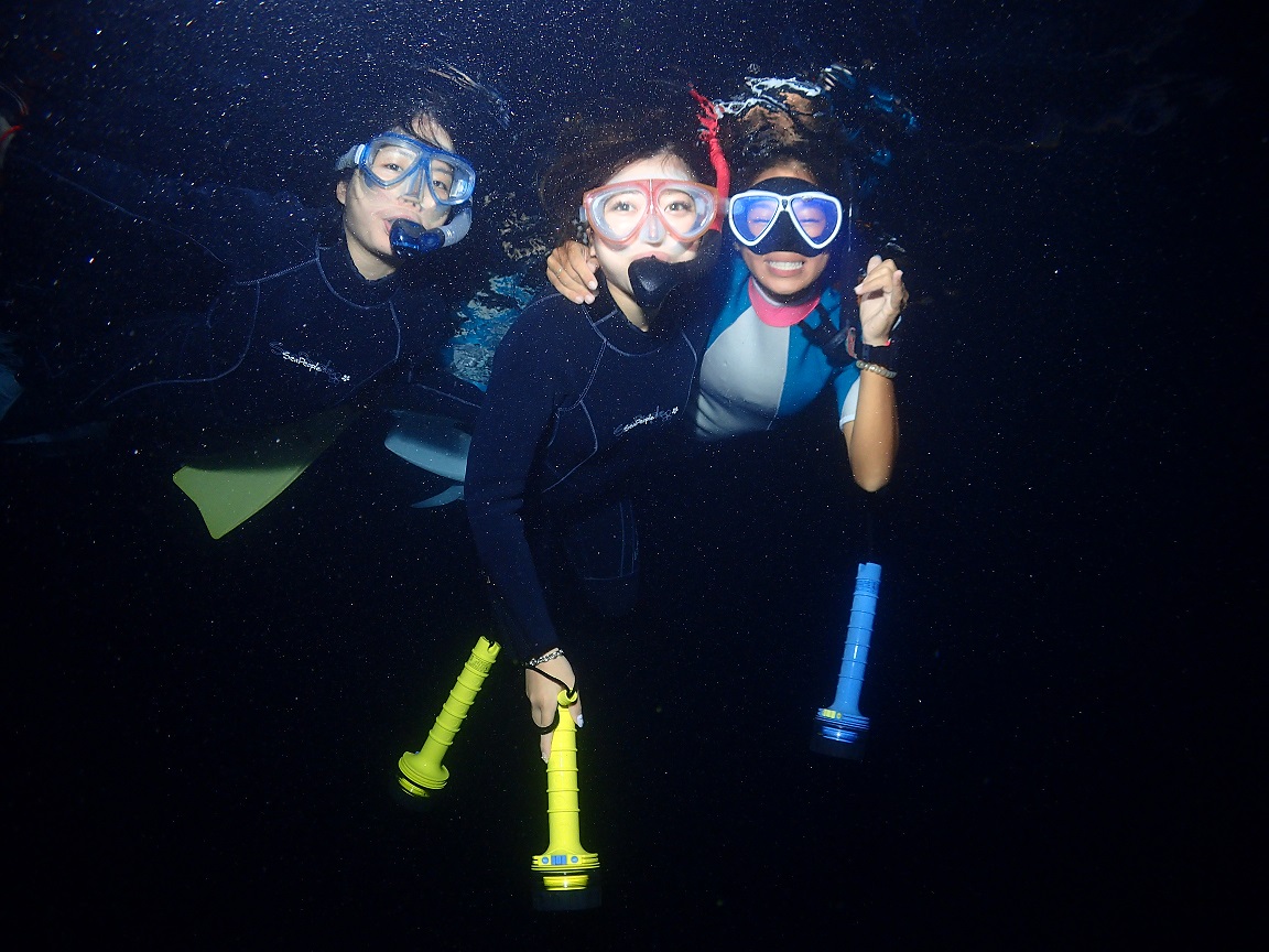 八重山DivingServiceFieldの写真1