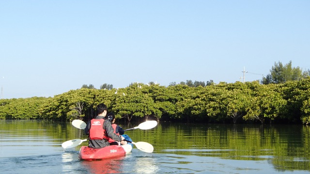 サウスワードカヤッククラブの写真1