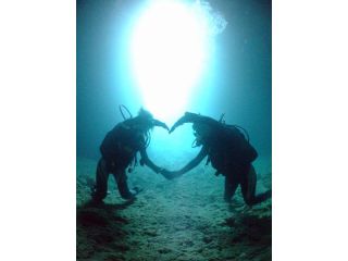 スカイリーフダイバーズの写真1