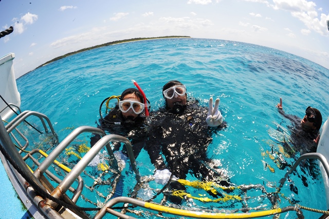 シーフレンズの写真1