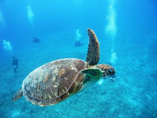 Marine　Service　FAMILLEの写真1