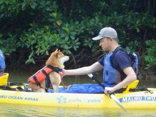 エコツアープカプカの写真1